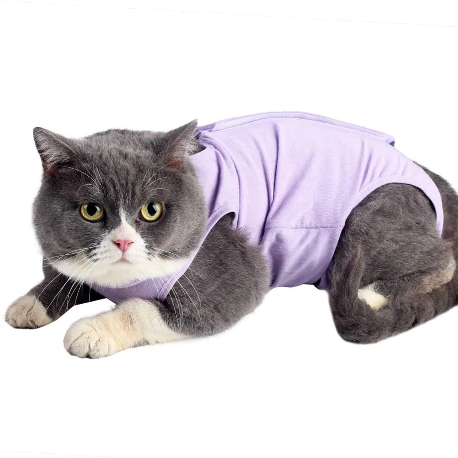 Premium Material kzrfojy Cat Surgery Recovery Suit – Post-Op Cat Onesie Purple-S Refined