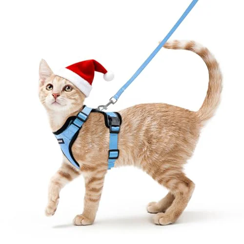Unique Rabbitgoo Cat Harness and Leash – Escape-Proof Adjustable Vest Harness for Cats Light Blue XS Professional