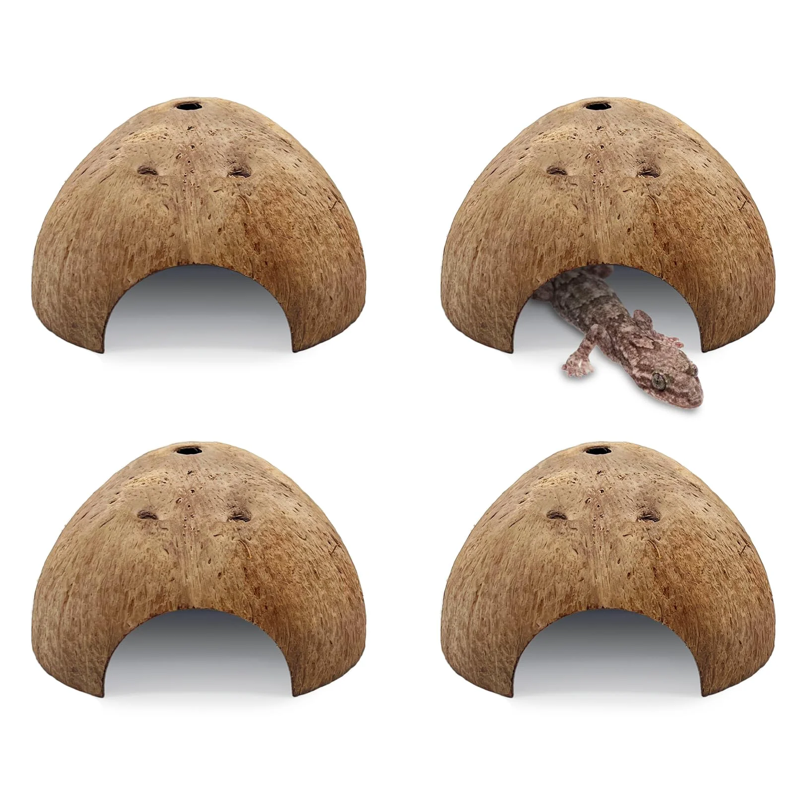 Premium PINVNBY 4-Pack Natural Coconut Reptile Hideouts Terrarium Caves Hideaways Eco-Friendly