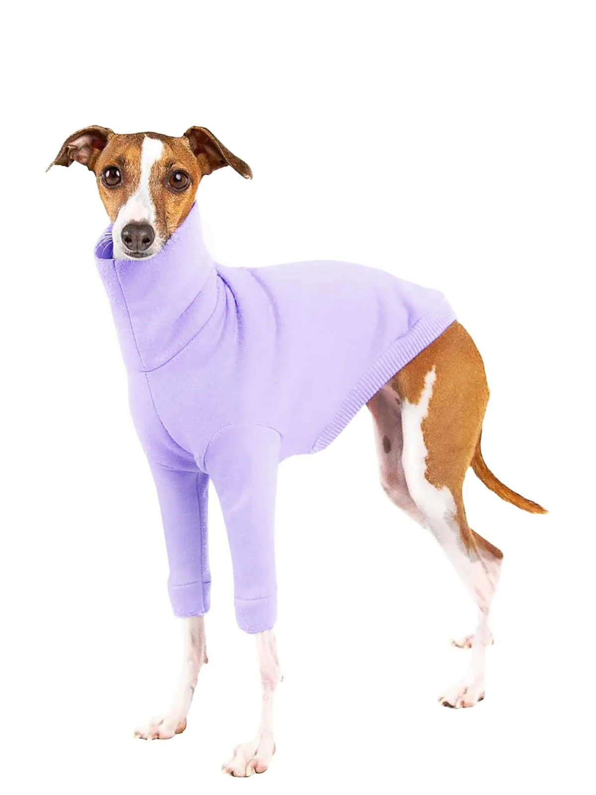 Certified Haloumoning Dog Fleece Sweater Turtleneck — Warm Breathable Puppy Clothes for Small Medium Dogs Sophisticated