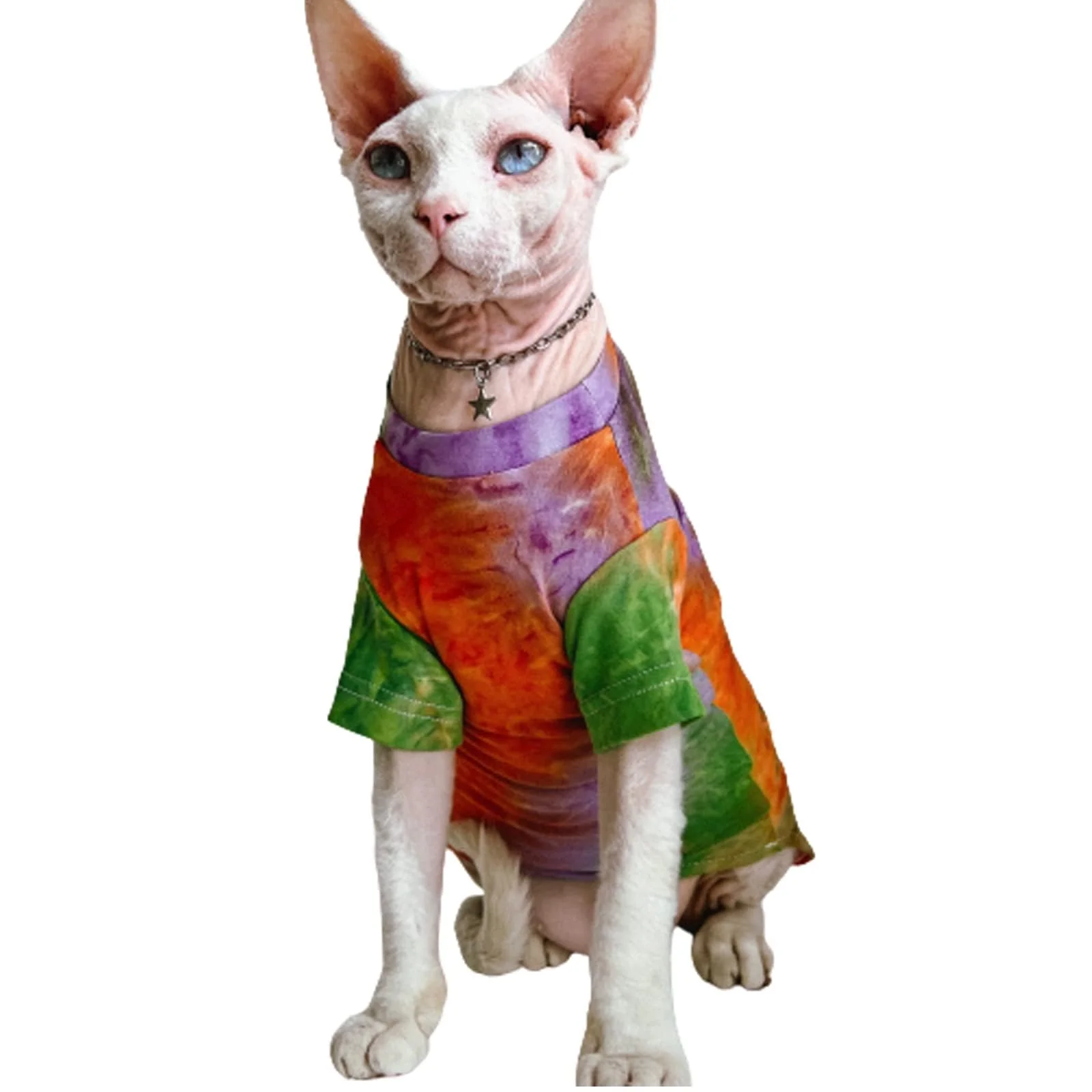 Relaxed QBLEEV Sphynx Cat Clothes – Rainbow Rendering Breathable Shirt for Hairless Breeds Detailed