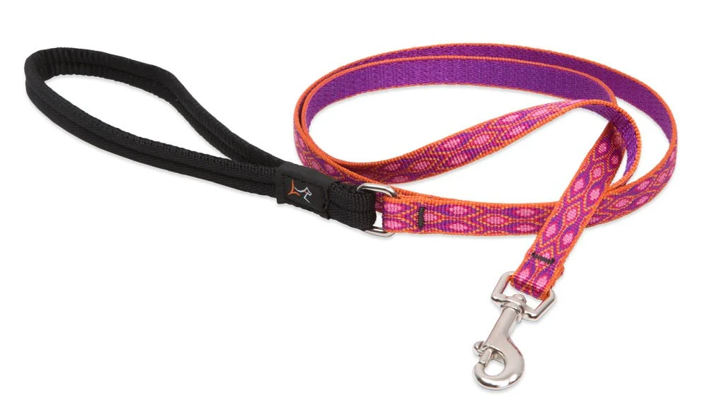 Original LupinePet s 1 2-inch Alpen Glow 6-foot Padded Handle Leash for Small Pets Prestigious