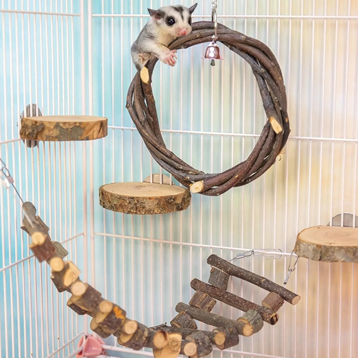 Advanced FLAdorepet 5Pcs Sugar Glider Cage Accessories — Apple Wood Swing Ladder Platforms Fast