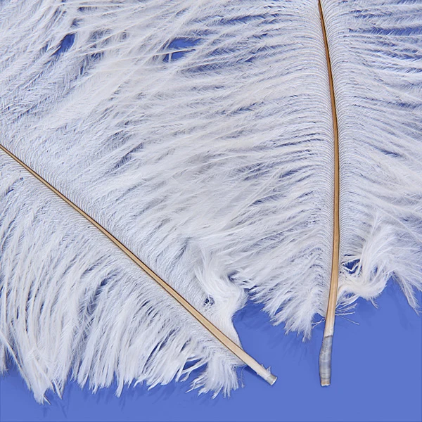 User-Friendly Maxbell 10pcs White Ostrich Feathers 6.7-9 Inch Classic