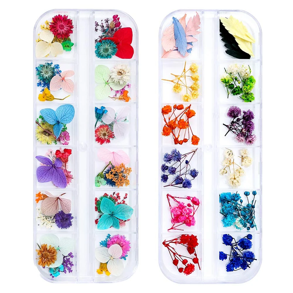 Outstanding iFancer 108 Pcs Dried Flowers for Resin Nail Art 62 Colors 3D Dry Flowers for Nails 2 Boxes Small Tiny Dried Flowers for Nail Art Little Pressed Next-Generation