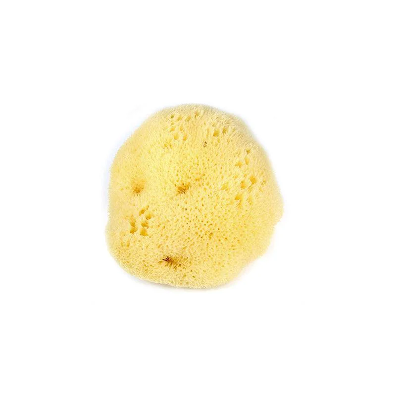 High-Performance Silk Sea Sponge Pure