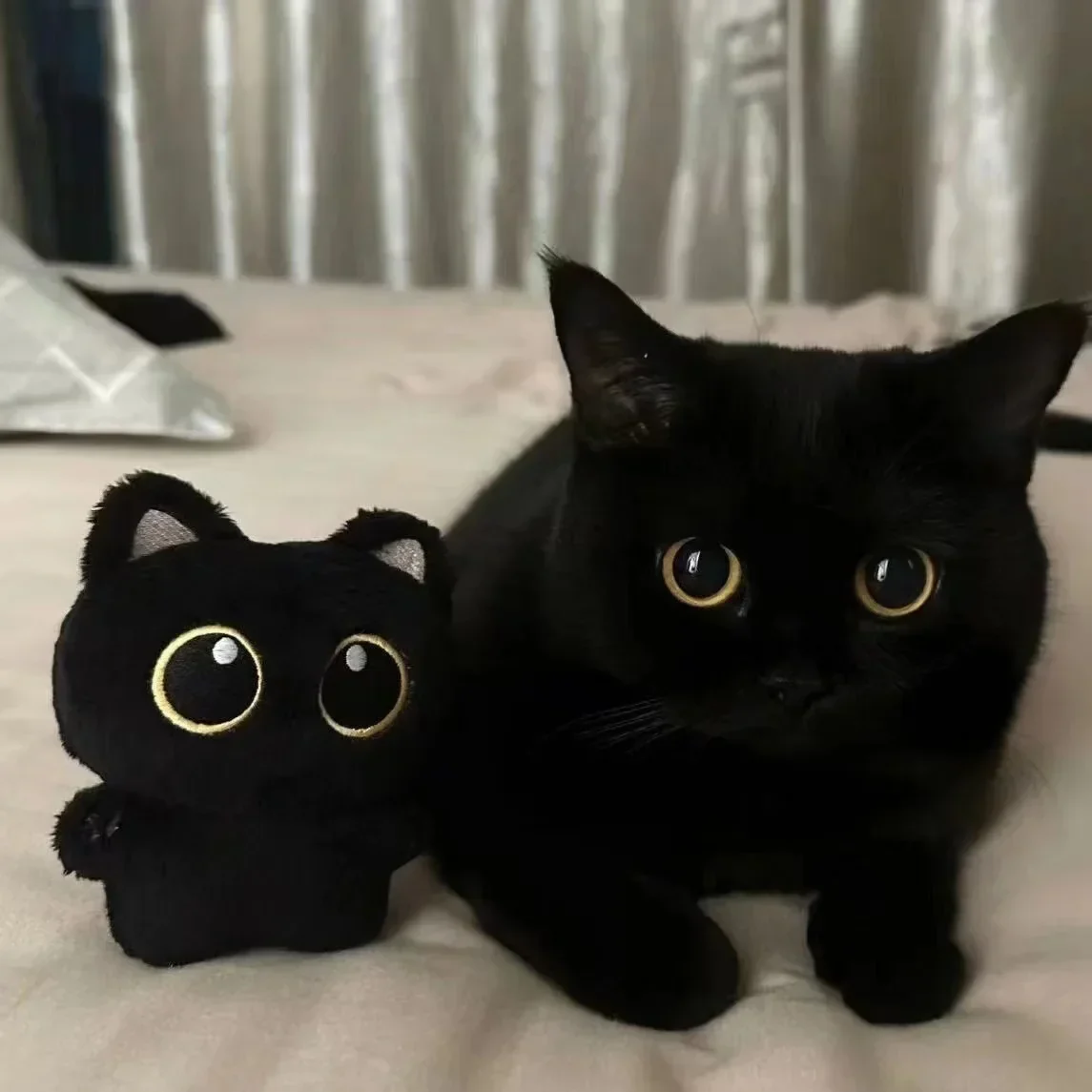 Comfortable Cute Black Cat Plush Toy Doll – Soft Cuddly Pillow Pendant Gift Effective
