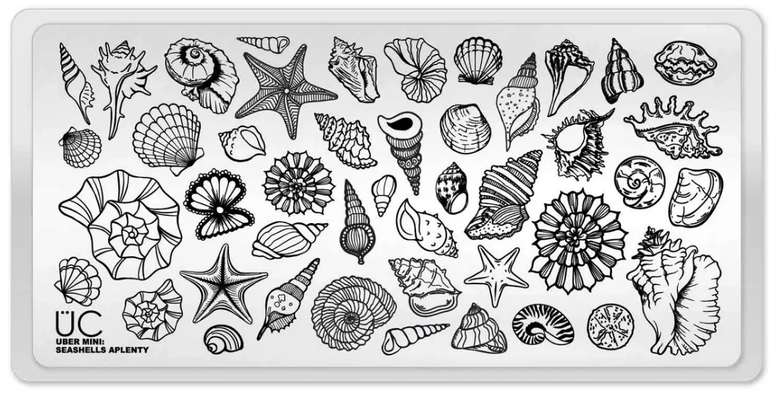 Certified Seashells Aplenty- Uber Chic Mini Stamping Plate Fine Crafted