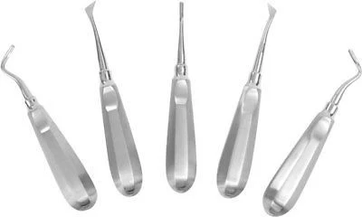 Versatile 5 Piece Hand Stainless Steel Wood Carving Chisel Woodworking Sculpting Tool Set Kit Pure
