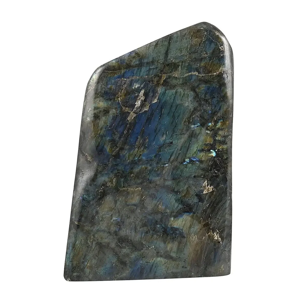 Enhanced HomeHomeHome DecorHome Accents 7253173 Contemporary