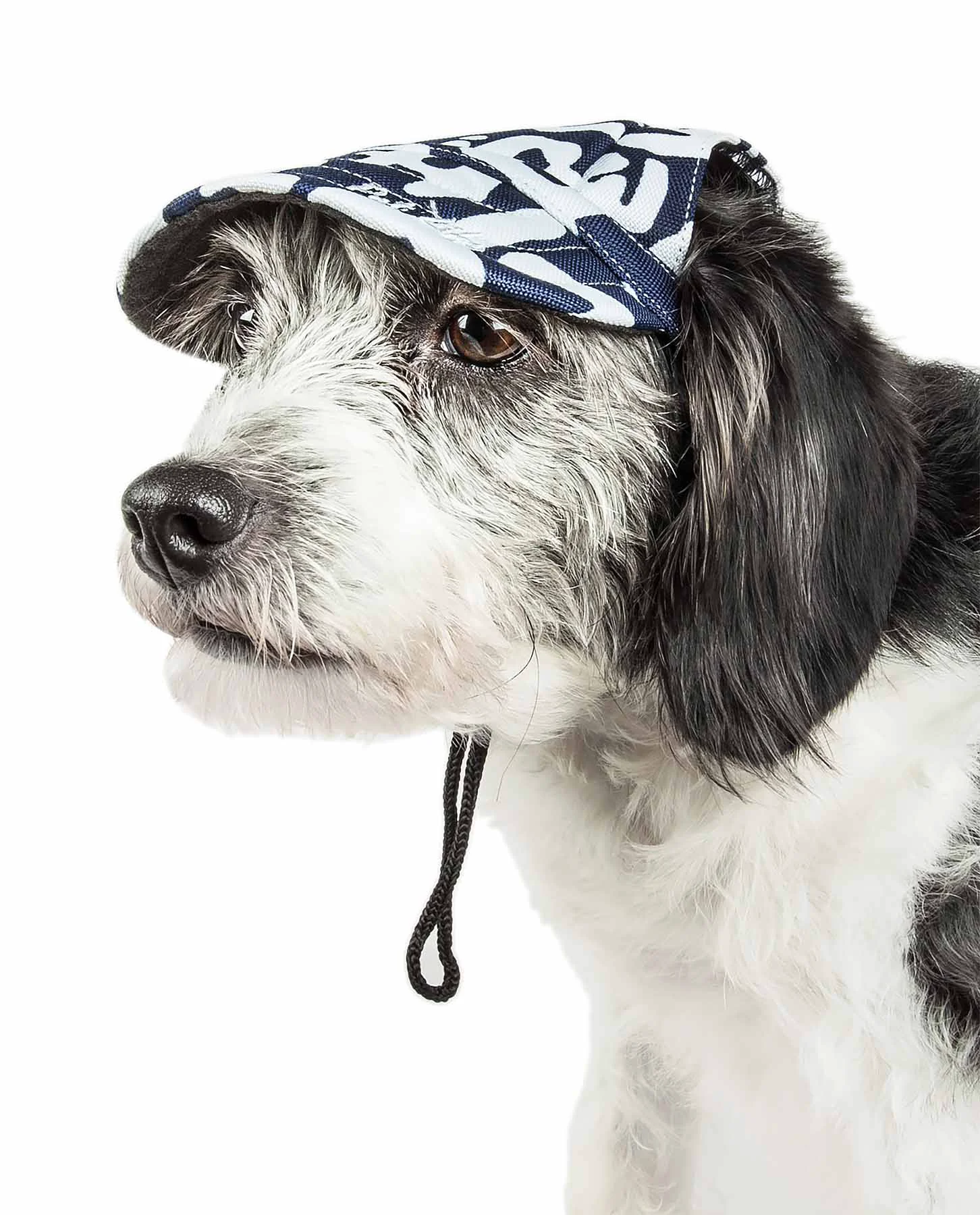 Breathable Pet Life 'Bone Cappa' Graffiti Sculptured Uv Protectant Adjustable Fashion Dog Hat Cap Dependable