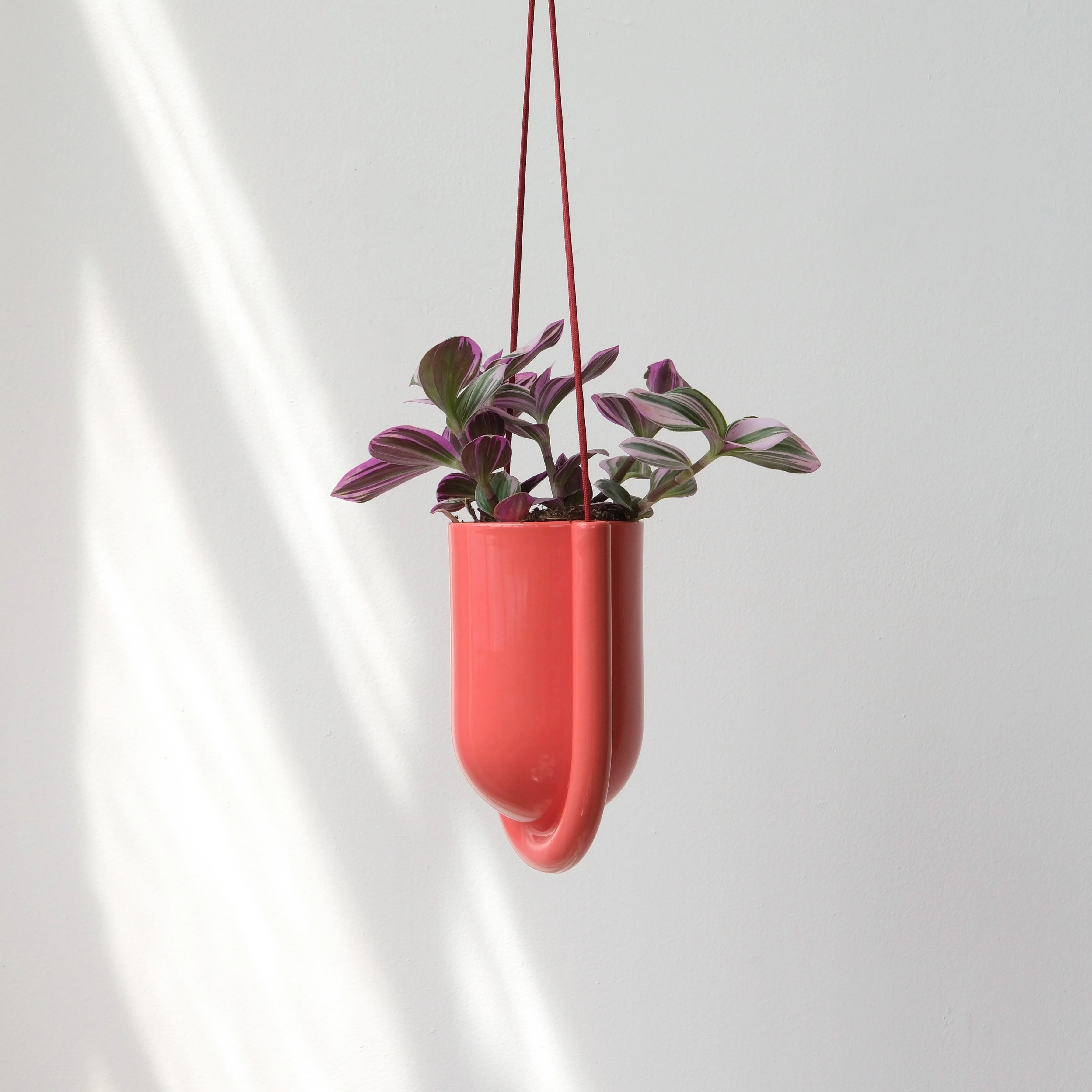 Flexible Portico Planter Soft