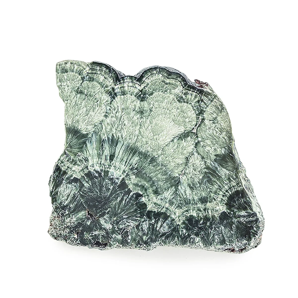 Casual HomeHomeHome DecorHome Accents 8508316 Fine