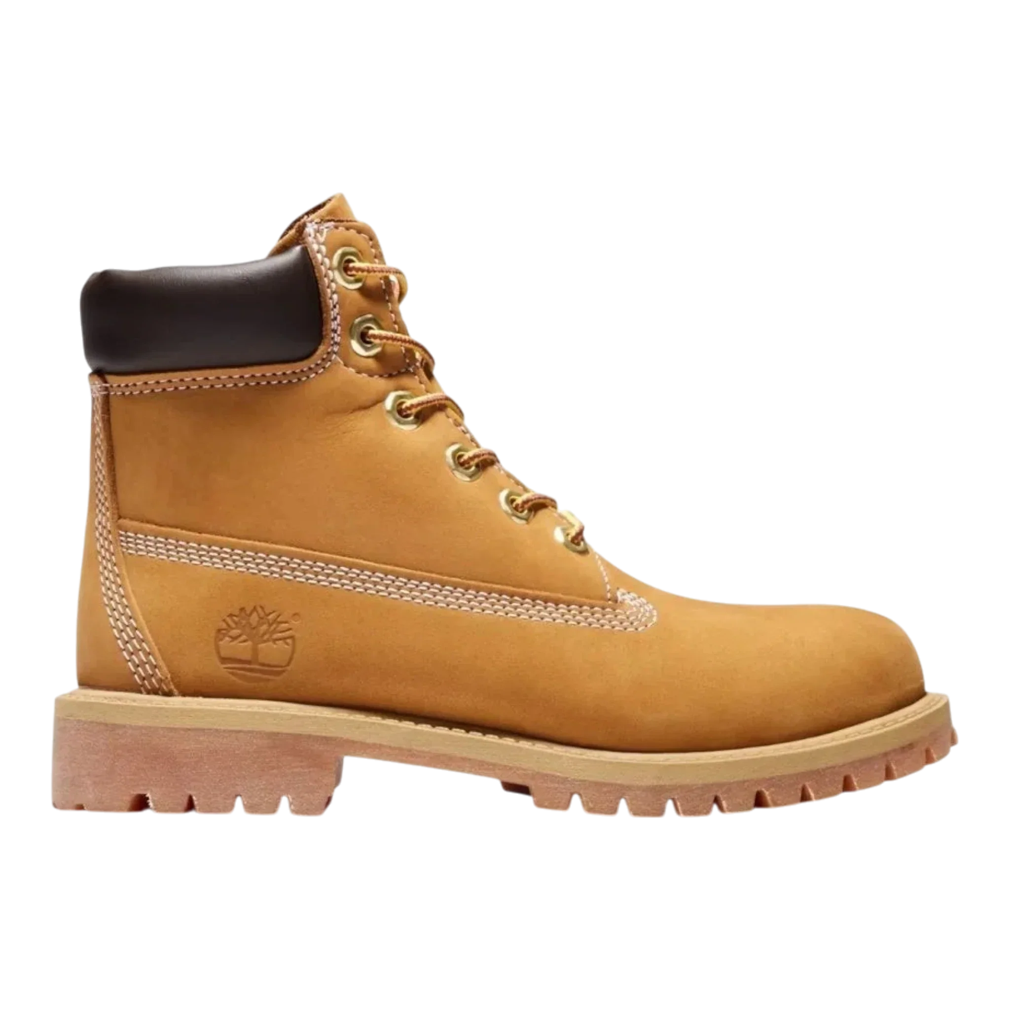 Environmentally Friendly Timberland Junior Premium 6-inch Waterproff Boot Gs Wheat Responsible