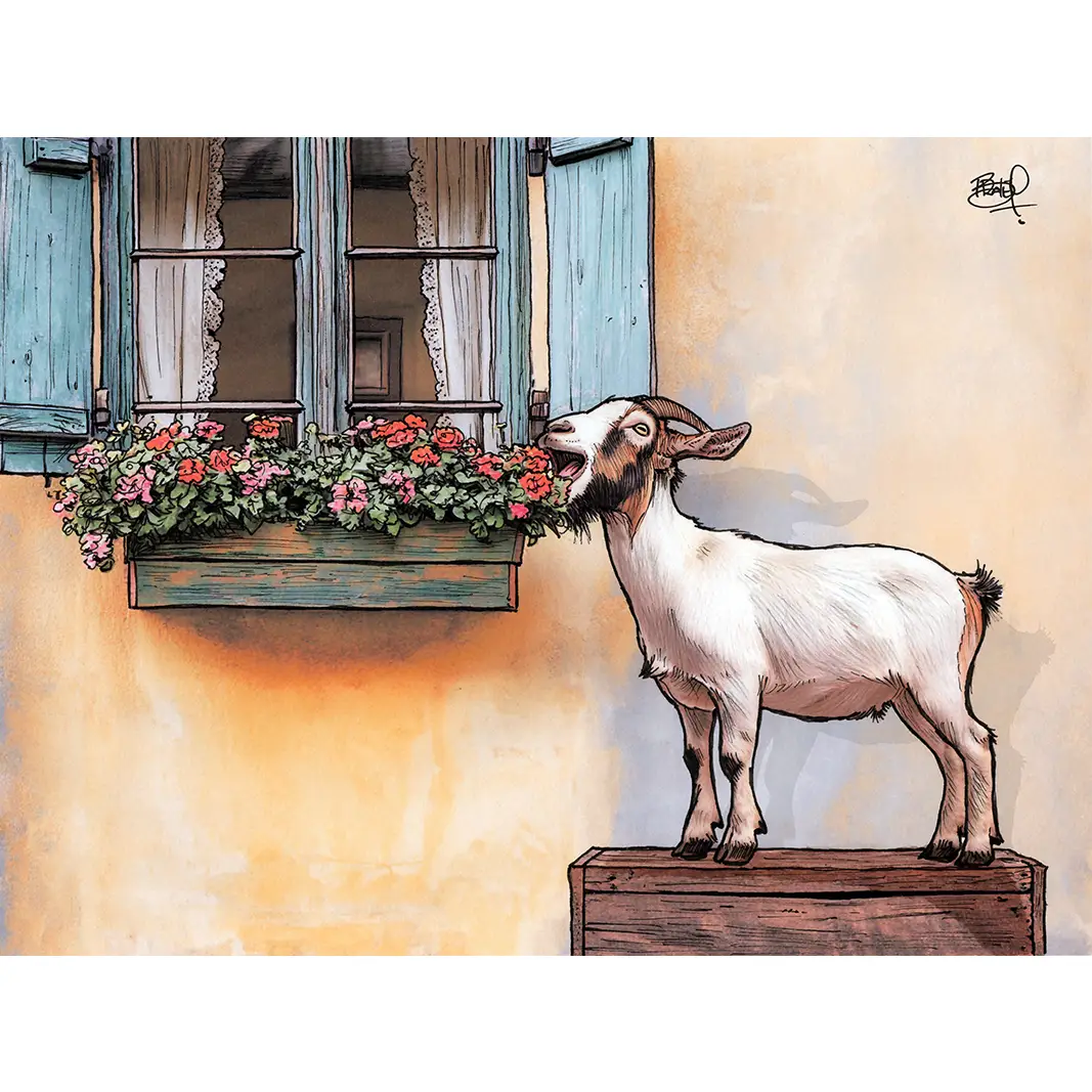 Artisan Lunchbox Goat Card Elegant