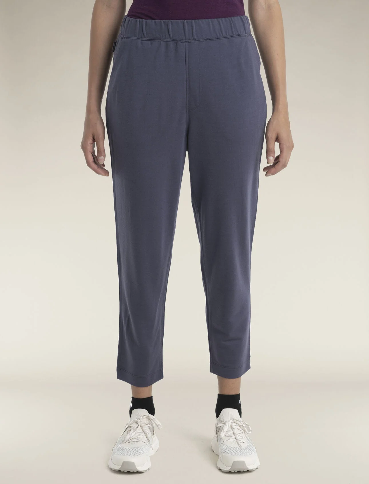 Healthy Icebreaker Women's Merino Blend Ii 200 Crush Ankle Pants Classic