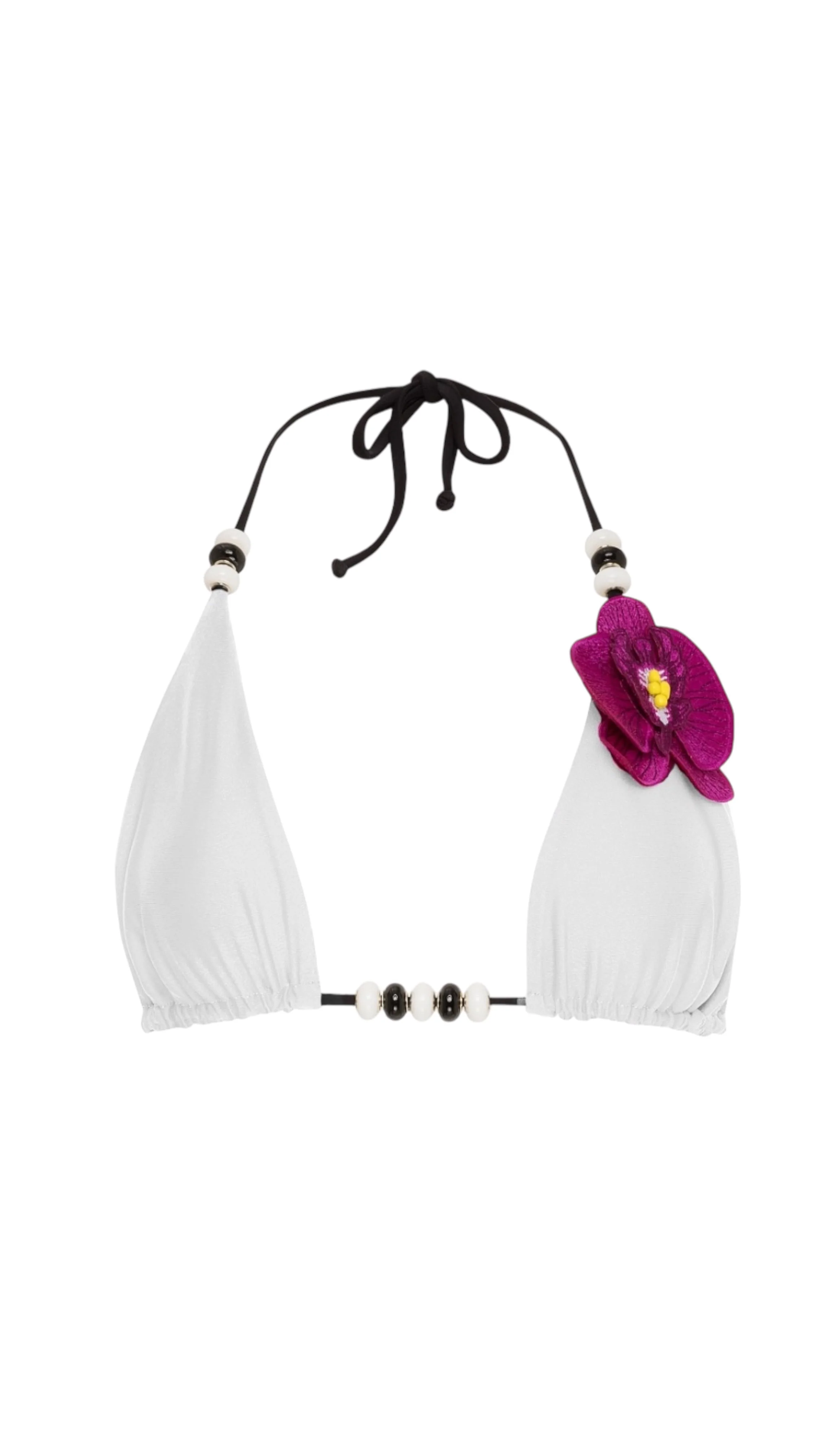 Fine Crafted Lycaste White Top High-Grade