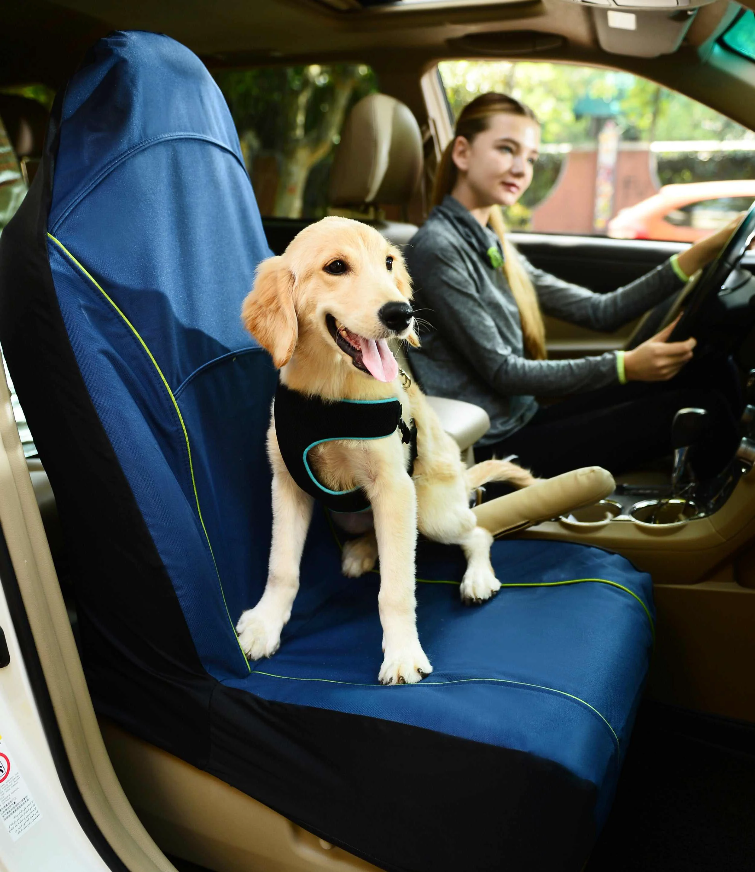 Consistent Pet Life Open Road Mess- Single Seated Safety Car Seat Cover Protector For Dog Cats And Children Breathable