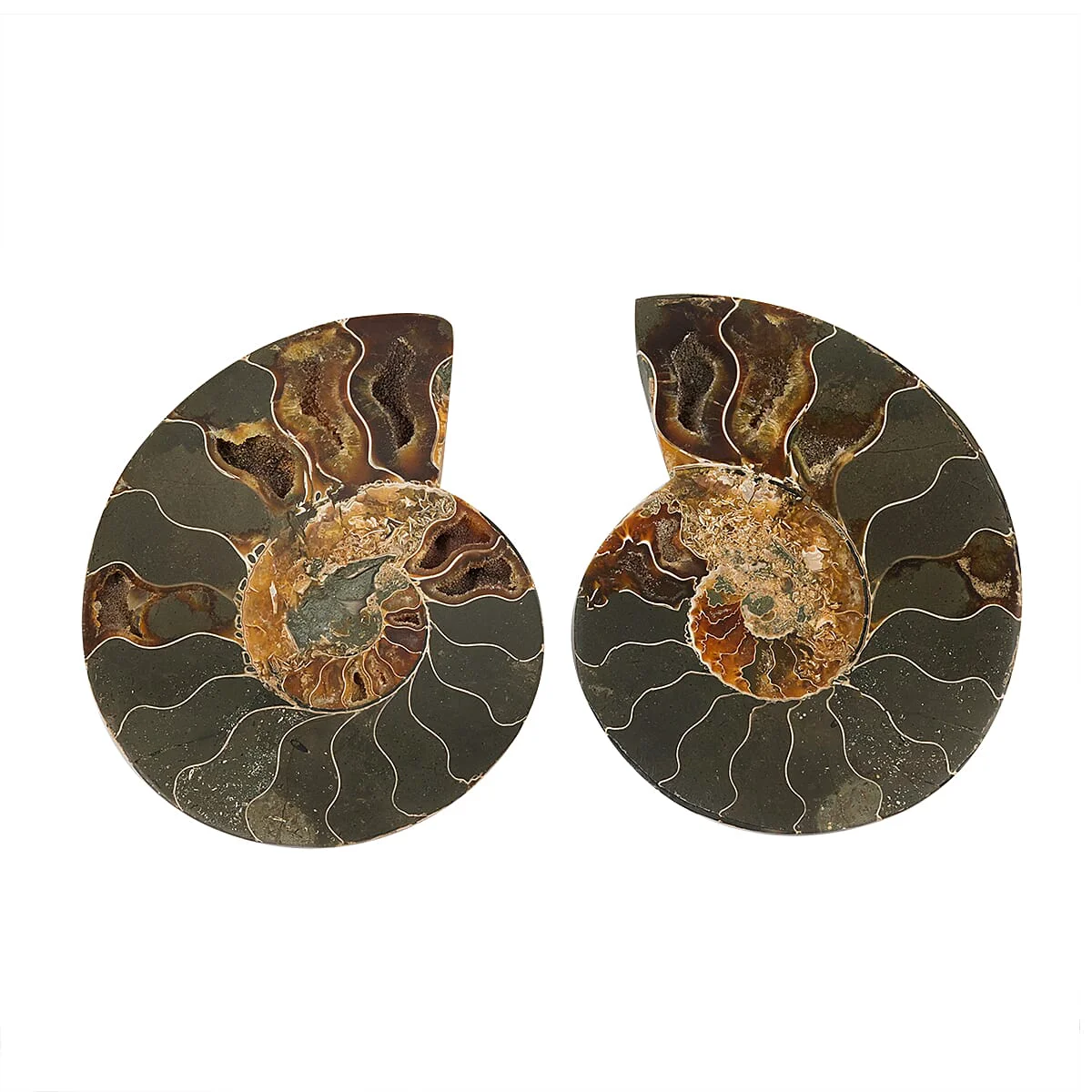 Elegant HomeHomeHome DecorHome Accents 8378424 Innovative