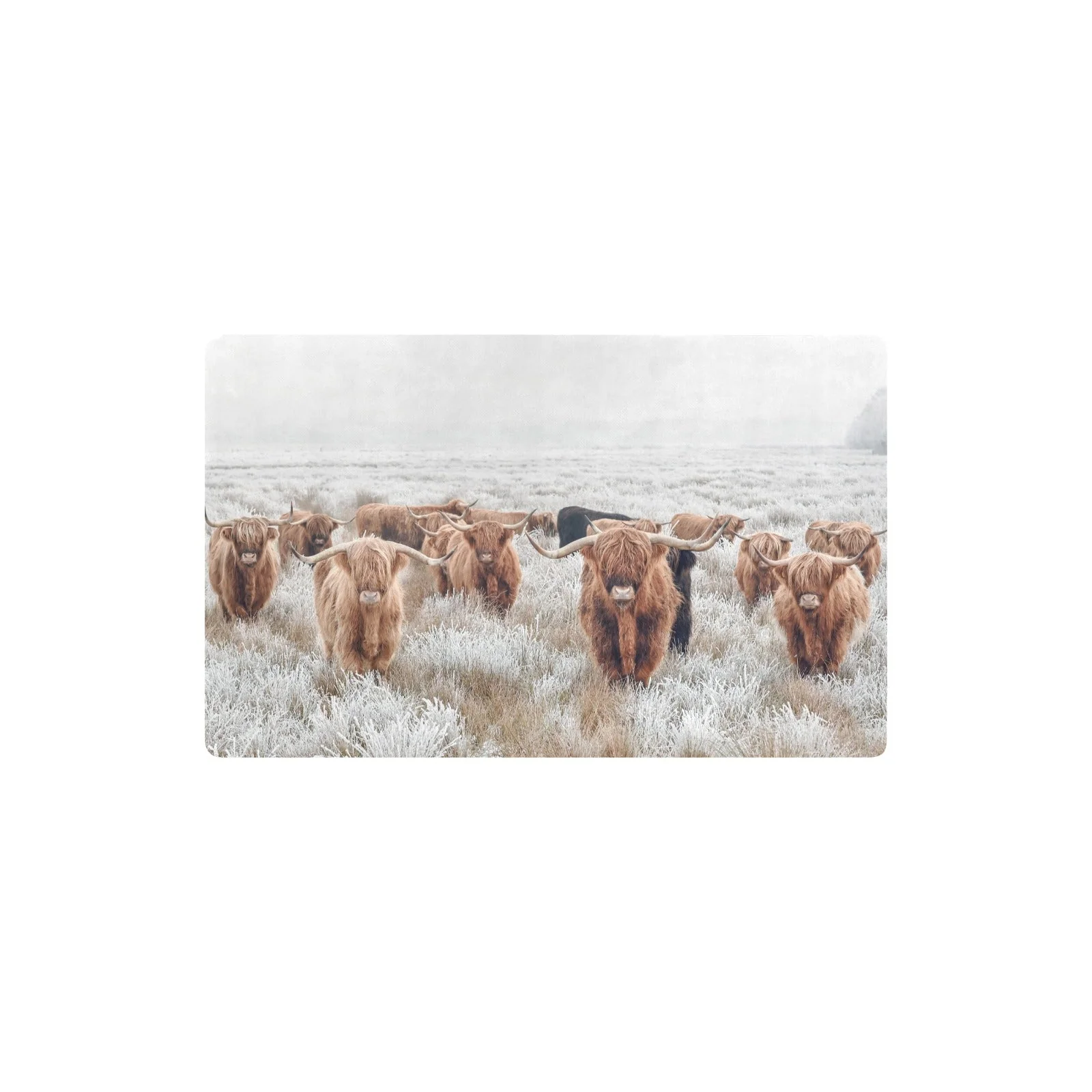 Smooth Highland Cow Herd Floor Mat Kitchen Mat 32 x20 Made in America Lightweight