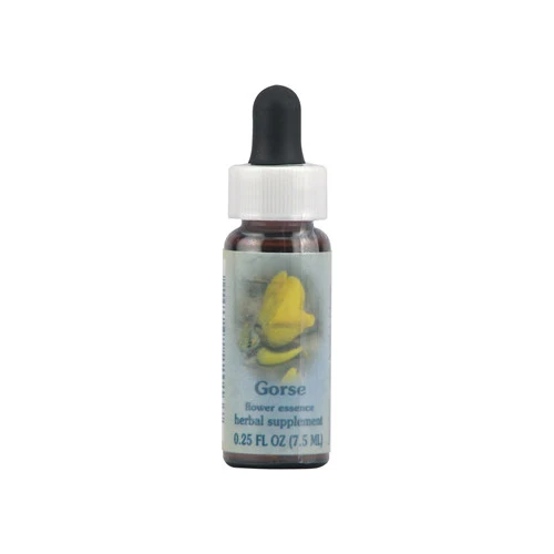 Luxury Flower Essence Gorse Herbal Supplement Dropper - 0.25 Oz Prestigious